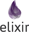 Elixir Development Services by software developers of LITSLINK company