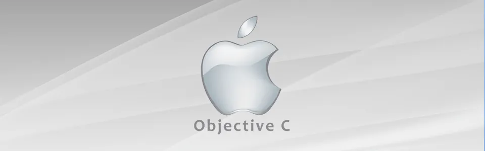 Objective C developers for hire in software development services company LITSLINK