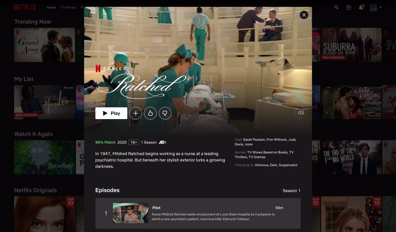 Netflix Platform - Screenshots | LITSLINK Blog
