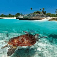 Michael Kader, Project manager, Department of Environment (Cayman Islands)