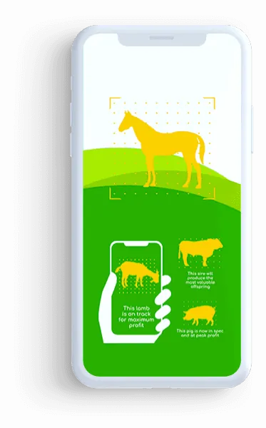 Livestock Management App - software development by LITSLINK software programmers
