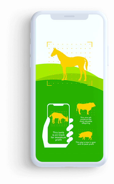 Livestock Management App - created by LITSLINK React Native developers