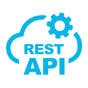 REST API icon
