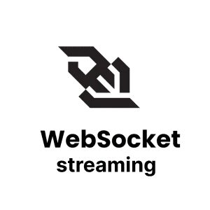 WebSocket streaming icon