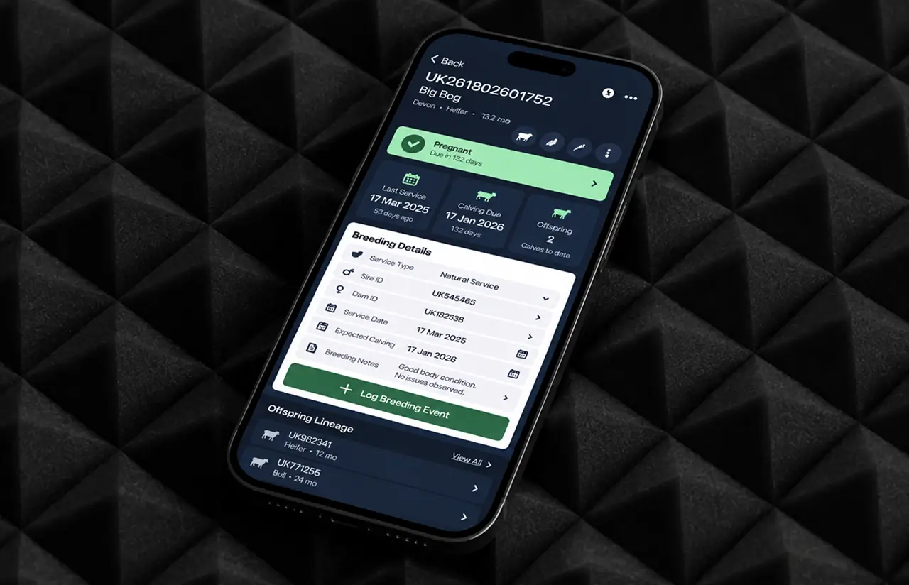 Phone screen with an animal's breeding details: pregnancy status, last service and calving dates, sire and dam ids, breeding notes and offspring lineage