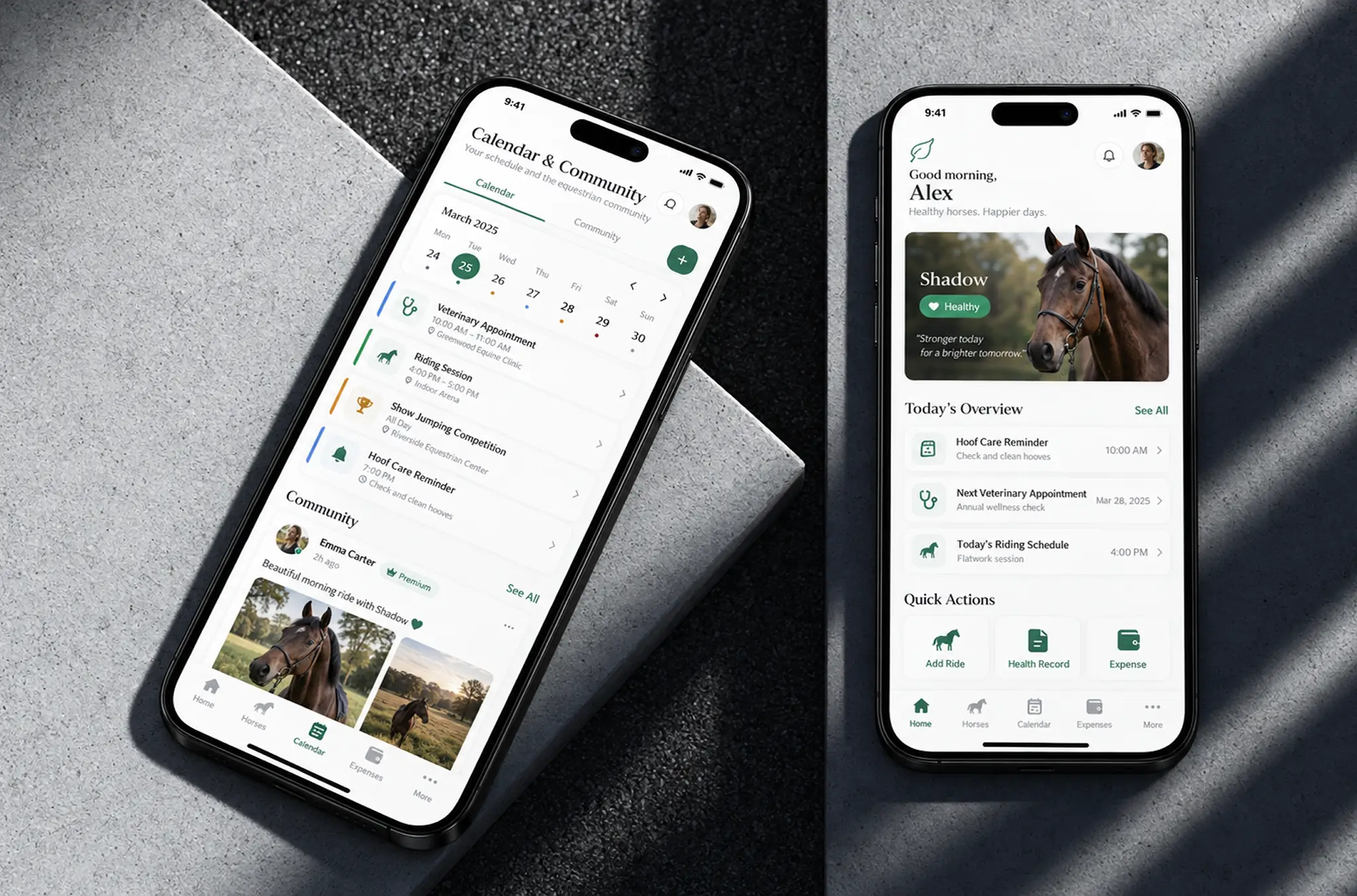 Two phones: a calendar of veterinary appointments, riding sessions, a show jumping competition and hoof care, with a community feed of riders' posts below, and the owner's home screen