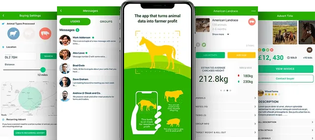 Five Livestock Farm Management App screens: buying settings with animal types and a location radius, a messages list, the app's brand screen with a yellow horse, an American Landrace animal card with an estimated average carcass weight, and a sale advert with bids.