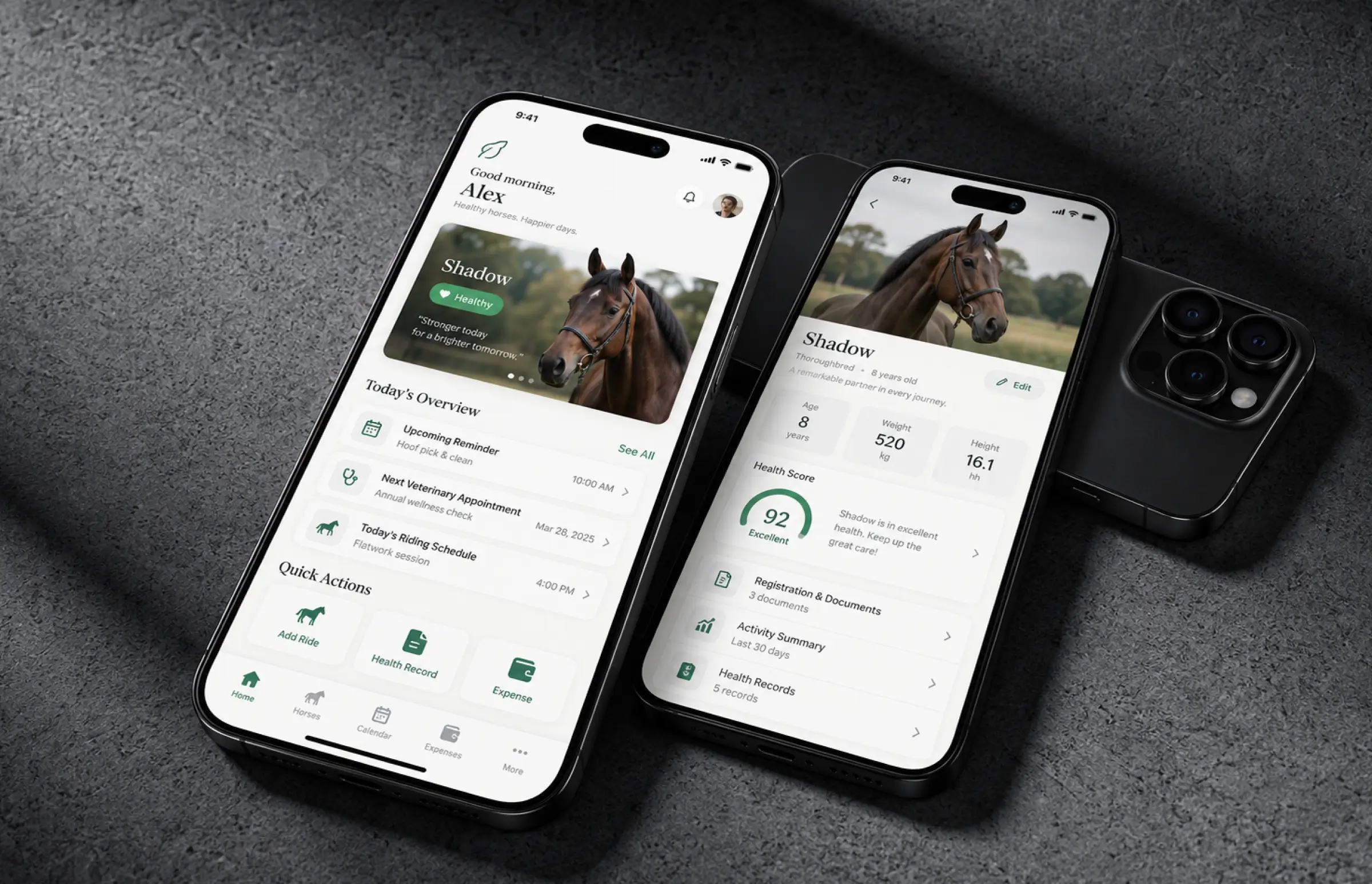 Two phones on stone: the owner's home screen with today's overview and quick actions, and a horse profile with age, weight, height, a health score of 92 and links to documents and records