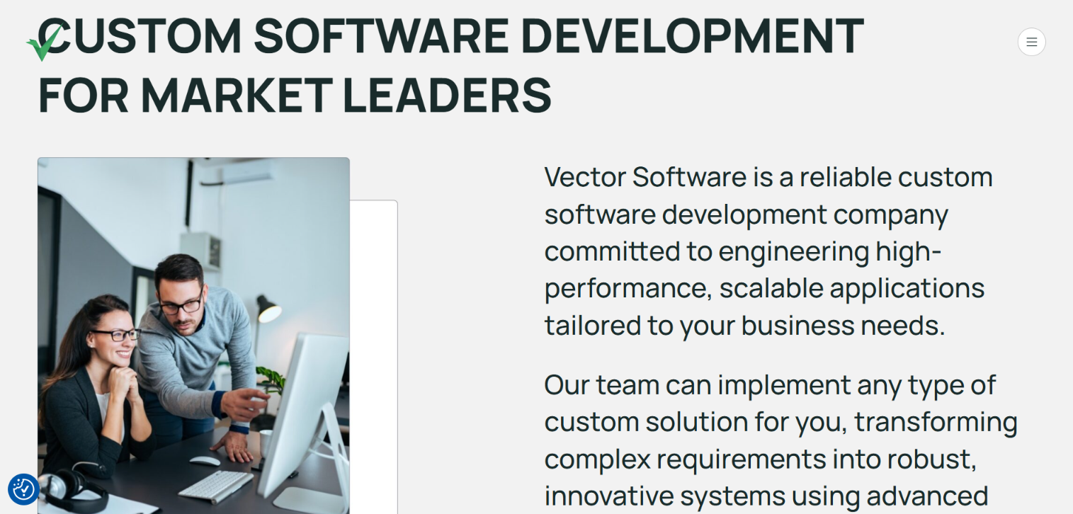 Screenshot of the Vector Software page — custom software development for market leaders.
